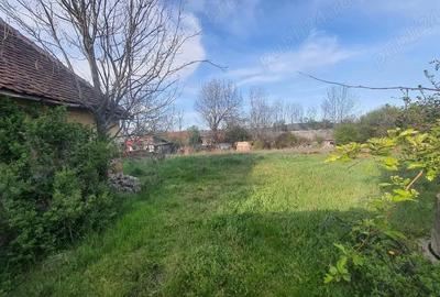 Teren de 3000 mp, în Fârdea - 3