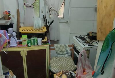 Apartament cu 2 camere semidecomandat în Iosefin - 12