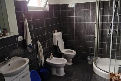 Casa și teren Piatra Neamt, ieșirea spre Dumbrava Roșie - 3