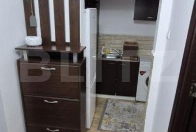 Garsonieră în Paltin - 3