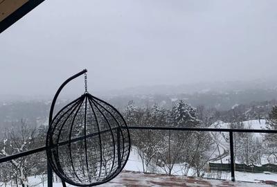 Casă cu 2 camere în Nistorești - 9