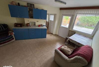 Casă cu 5 camere cu Teren 2700 Mp în Pianu - 14