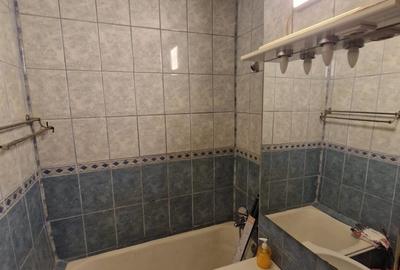 Obor, Colentina, Teiul Doamnei vav Sectia 7 Politie 10 minute metrou - 2