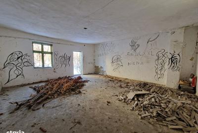 Spațiu comercial, de 296 mp, în Vișani - 12