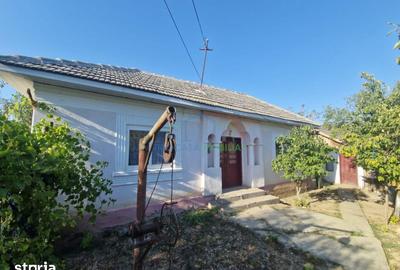 Casă cu 3 camere cu Teren 664 Mp în Gângiova - 1