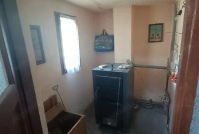 Casă cu Teren 4977 Mp în Ribița - 7