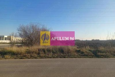 Teren de 8800 mp, în Săbăreni - 3