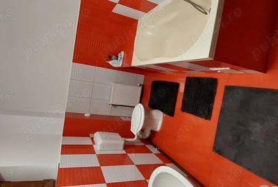 Casa de vanzare in Ampoi?a, com. Mete? - la 10 km de Alba Iulia - 2