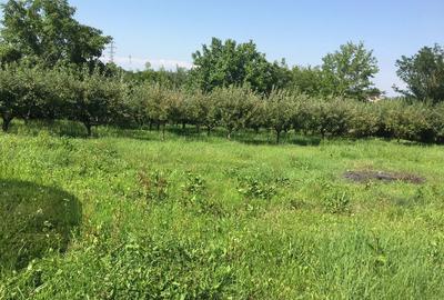 Spațiu comercial, în Războieni - 1