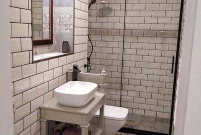 Case alaturate cu gradina, parcare ?i poten?ial comercial in Elisabetin - 8