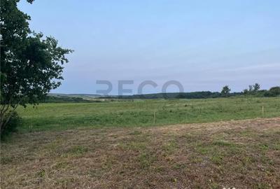 Teren de 903 mp, în Paleu - 5