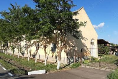 Casă cu 6 camere cu Teren 1400 Mp în Checea - 10