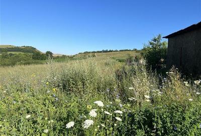 Teren Construcții intravilan de 8700 mp, în Pata - 3