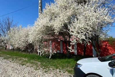 Casă cu 6 camere în Ștefăneștii de Jos - 2