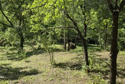 Casă cu 2 camere cu Teren 5300 Mp în Breaza - 2