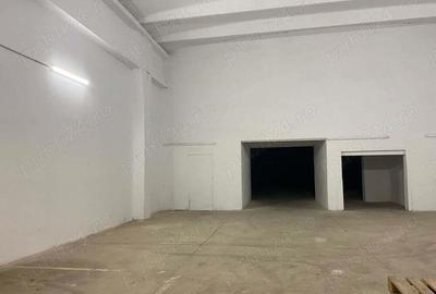 Spatiu SAD, Hala, depozit, Calea Aradului 246 - 486 mp - 3