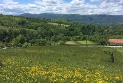 Vand teren intravilan - 1