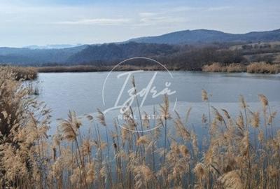 Teren cu lac. Afacere, agrement - 3