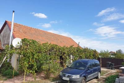 Proprietar vand casa in Herneacova - 2