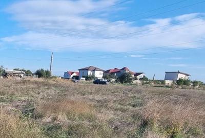 Teren de 614 mp, în Viile Noi - 6