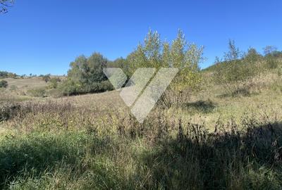 Teren intravilan cu PUZ aprobat 1300 mp - 17 km de Sibiu - 3