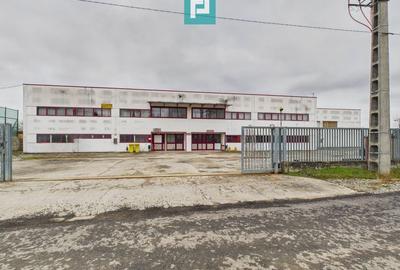 Hală de producție, cu birouri și teren, în Sebiș - 46
