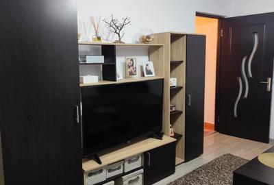 Apartament cu 2 camere în Beba Veche - 8