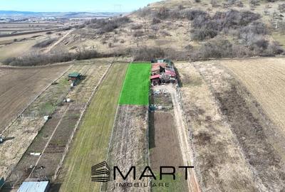 Teren Construcții intravilan de 1000 mp, în Gușterița - 2