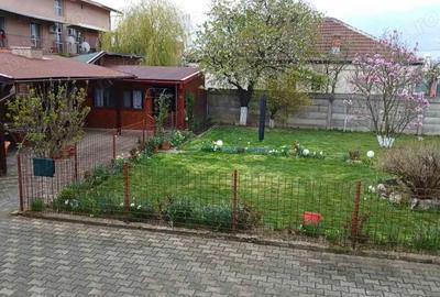 Casă cu 6 camere cu Teren 700 Mp în Caransebeș - 6