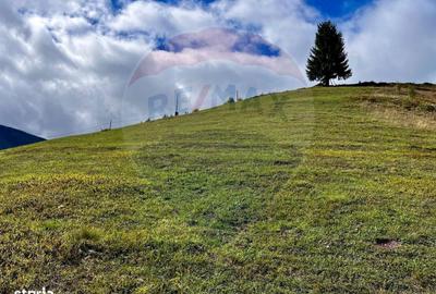 Spațiu comercial, în Galbena - 2