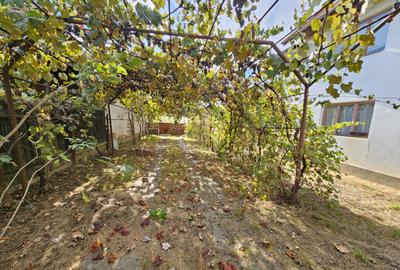 Casa P+1, comuna Dane?ti, 10 km distan?a de Tg. Jiu - 17