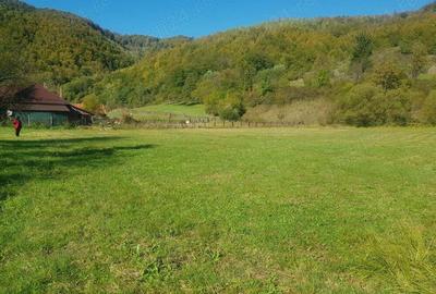 Teren de 4500 mp, în Ciucea - 1
