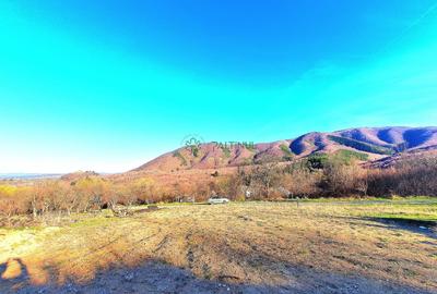 Teren Construcții intravilan de 1641 mp, în Exterior Est - 4