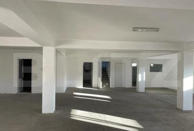 Demisol spa?ios de 259 mp de inchiriat Centura ideal pe - 1