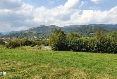 Teren de 3700 mp, în Sălciua - 7