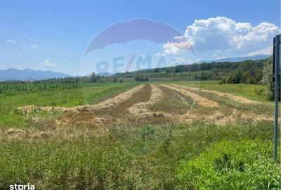 Teren de 14800 mp, în Central - 4