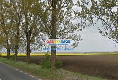 Teren de 17800 mp, în Dascălu