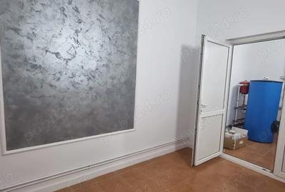 Casă cu 6 camere în Banat - 2