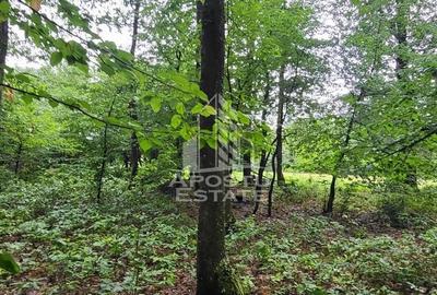 Teren mixt de 8.600 mp, ideal pentru investitie, Cuied - 4