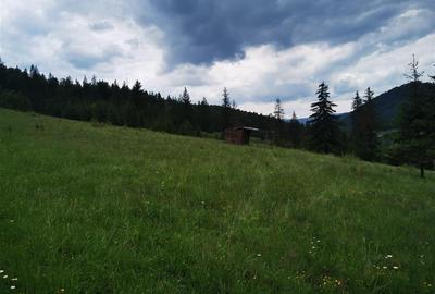 Teren intravilan de 1000 mp, în Văleni-Stânișoara - 3