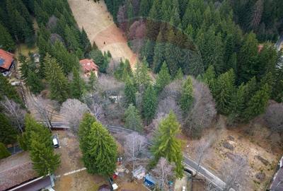 Teren 2000mp intravilan de vanzare in Poiana Brasov! Comision 0%! - 15
