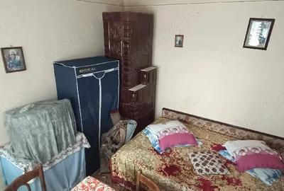 Casă cu 9 camere cu Teren 3100 Mp în Segarcea-Deal - 8