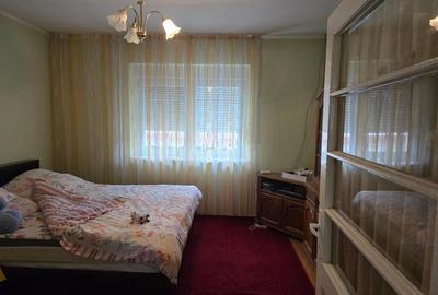 Casă cu 5 camere cu Teren 3040 Mp în Tămășeu - 33