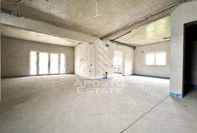 Vila spatioasa Giarmata - 9