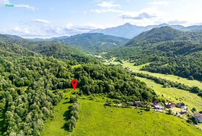Teren cu vedere superba spre Cheile Rasnoavei, 8800 mp, la marginea pădurii - 1