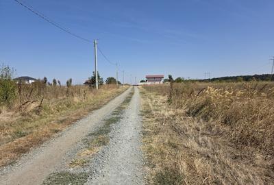 Comuna Branesti, Sat Vadul Anei pe strada Closca, 1650 mp Comuna Branesti, Sat Vadul Anei pe strada Closca, 1650 mp - 9