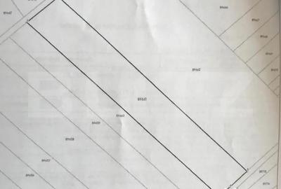 Teren de 5000 mp, în Centură