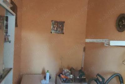 Casa Lipovei de vanzare - 7