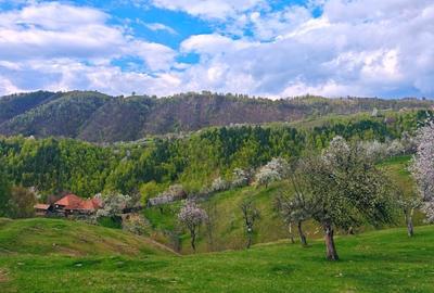 Casă cu 4 camere în Luncani - 1