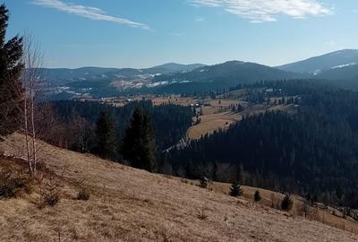 Teren de 1000 mp, în Arieșeni - 4